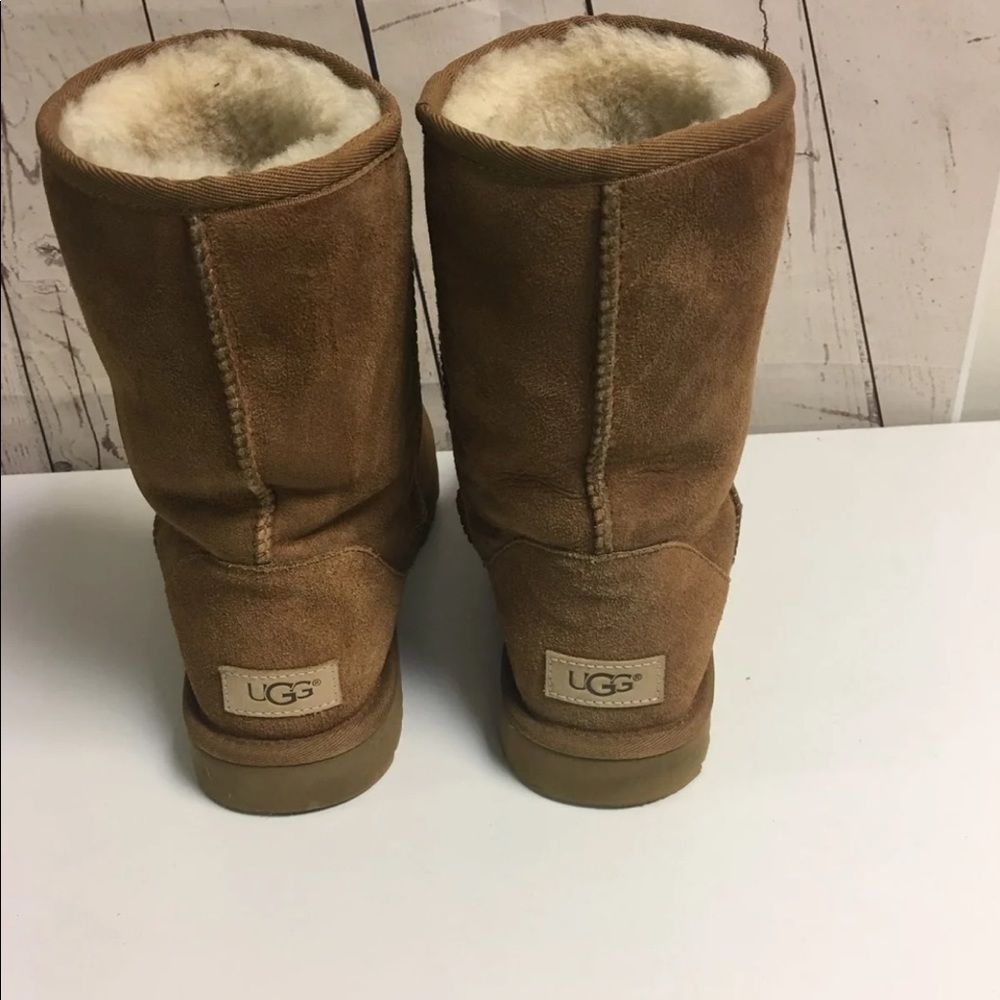 Short Tan Uggs